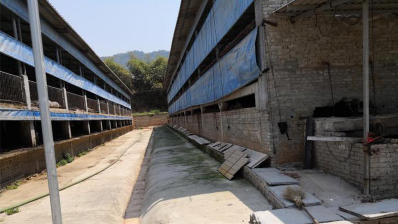 寧德市盛和畜牧有限公司新增年出欄生豬23500頭項(xiàng)目環(huán)?？⒐を?yàn)收