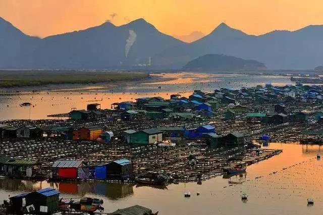 福建省發(fā)布深化生態(tài)省建設 打造美麗福建行動綱要