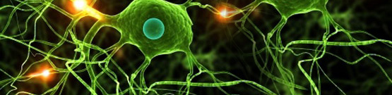 福建省環(huán)境保護股份公司